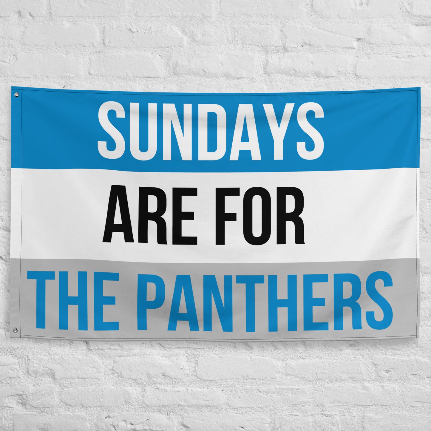 Sundays are for the Panthers Flag, Carolina Panthers Flag, Football Tailgate Flag