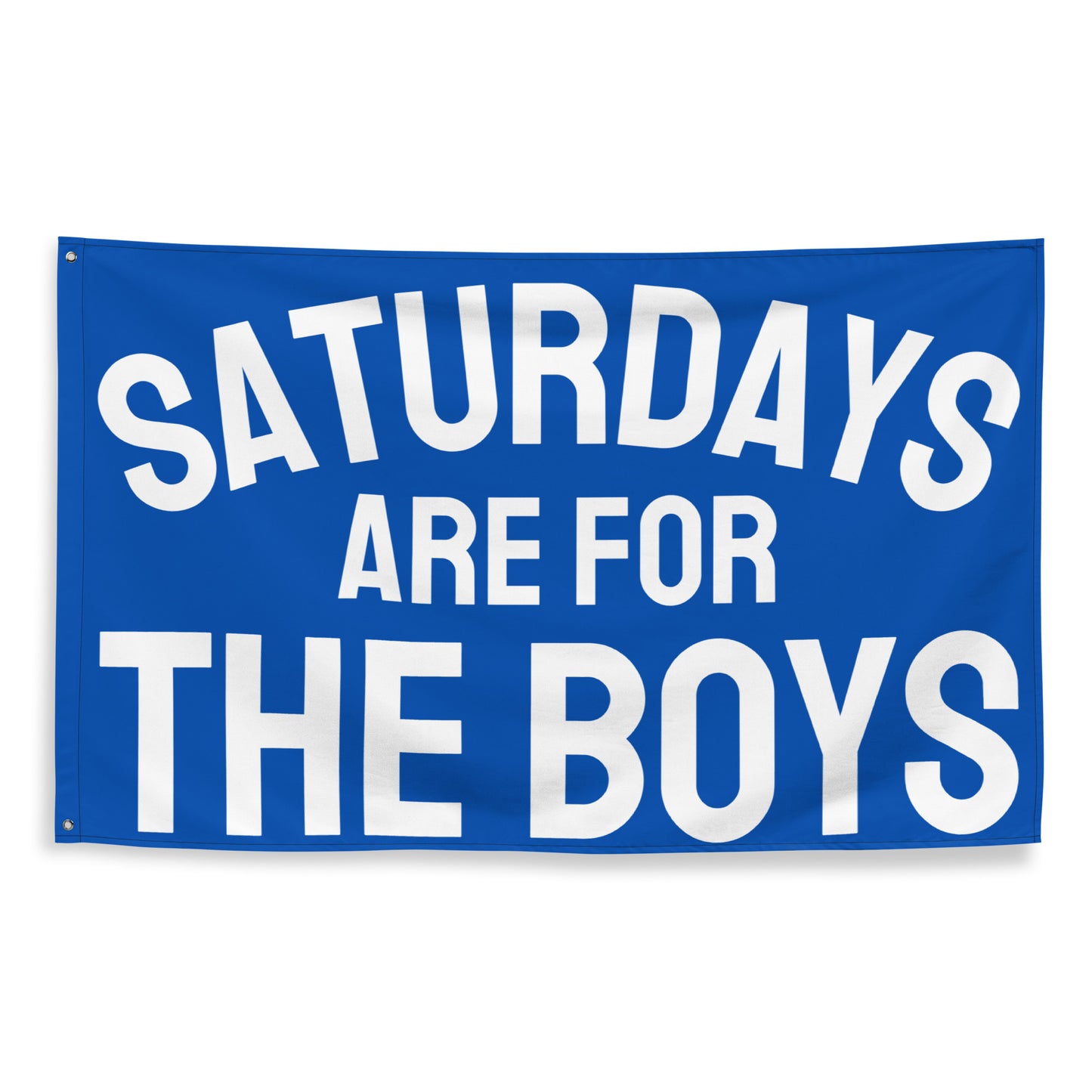 Saturdays are for the Boys, Blue Flag Banner | Gift for Him, Dorm, College, Tailgate, Decoration