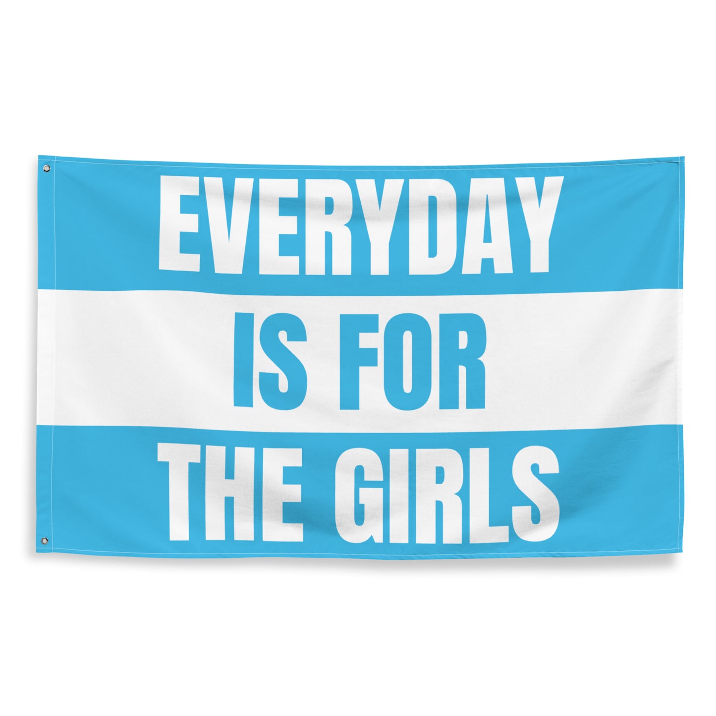 Everyday is for the Girls Flag, Blue, Saturdays are for the Girls, Funny Tapestry, College Funny Tapestry,  Apartment Decor
